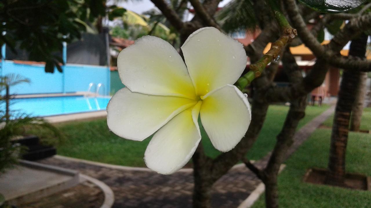 Larn'S Villa Hotel & Apartment Wadduwa Buitenkant foto